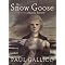 The 2009 Kate Greenaway Medal: Shortlist