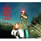 Both Ways Open Jaws (Special Edition/4 Bonustracks)