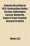 Animals Described in 1975: Genicanthus Bellus, Saraina, Chilostigma Itascae, Xinyuictis, Santa Fe Cave Crayfish, Brazoria Crayfish