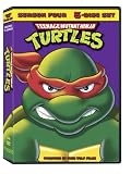 Teenage Mutant Ninja Turtles, Season 4