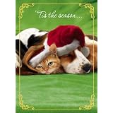 Avanti Plus Christmas Cards, Holiday Basset, 10 Count