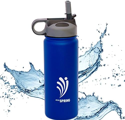 ecoSpring Stainless Steel Water Bottle with Straw Lid & Travel Bag - Portable Thermos For Sports - Double Walled Water Holder Vacuum Insulated Flask For Hot & Cold Drinks - Sweat Proof Design - 18 oz