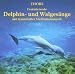 Produkt-Bild: Delphin-und Walges&auml;nge