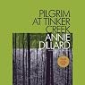 Pilgrim at Tinker Creek