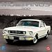 Search : Mustangs 2012 Square 12X12 Wall Calendar (Multilingual Edition)