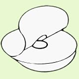 Nu-Hope Dualstick Adhesive Pad