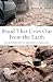 Image of Blood That Cries Out From the Earth: The Psychology of Religious Terrorism