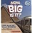 How Big Is It?