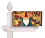 Mailbox Magnetic Gnome Garden