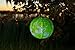 Allsop Home and Garden Soji Printed Series Solar Lantern, Dandelion, 1-Count