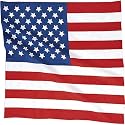 American Flag Bandana