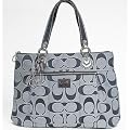 Amazon.com: Coach Poppy Patent Leather Glam Tote 15791 (SV/Grape/Ice ...
