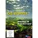 Die Wupper - Amazonas im Bergischen Land