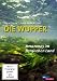 Cover:Die Wupper - Amazonas im Bergischen Land