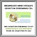 BMV Quantum Subliminal CD Set- 4 SUBLIMINAL CDs - Rapid Weight Loss Program, Permanent Weight Reduction / Management & Dieting CD Collection with Brainwave Entrainment Technology & NLP (4 CDs: Rapid Weightloss, Healthy Eating Habits, Low Carb Diet Aid, Love to Exercise)