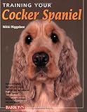Training your cocker spaniel