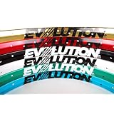 DK Evolution 24