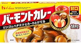ハウス バーモントカレー甘口 238g×10個