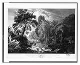 Historic Print (L): A view in the Island of Jamaica, of the spring-head of Roaring River on the estate of Wi