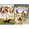 Horse Movies on DVD (1 of 2)