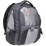 SwissGear Computer Backpack (Black/Gray)