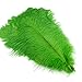 Sowder 5pcs Ostrich Feathers 16-18inch(40-45cm) Home Wedding Decoration(lime green)