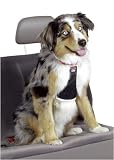 Easy Rider Car Harness - Medium