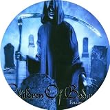 Follow the Reaper [VINYL]