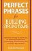 Perfect Phrases for Building Strong Teams: Hundreds of Ready-to-Use Phrases for Fostering Collaboration, Encouraging Communication, and Growing a Winning Team (Perfect Phrases Series)