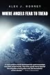 Where Angels Fear to Tread: The Nature of Reality and Meaning of God