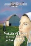 Valley of Hope (The Amish of Lancaste...