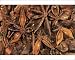 Photographic Prints of JLMO-1924 STAR ANISE - close-up of seeds from Ardea Wildlife Pets