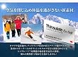 日本製 シンサレート敷布団（YE） シングル アイボリー 33050108