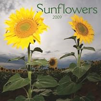 Sunflowers 2009 7X7 Mini Wall Calendar