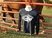 Rodeo Beach Saltwater Cowboy Up on Shark Long Sleeve Navy YOUTH