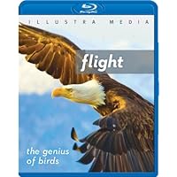 Flight: The Genius of Birds