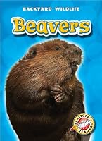 Beavers (Blastoff! Readers: Backyard Wildlife) (Blastoff! Readers: Backyard Wildlife: Level 1)