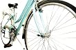 Reflex Park Lane 19 Shimano 18sp Ladies Hybrid Bike