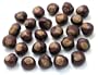 Buckeye Nuts - Quarter Size - Twenty-Five Nuts