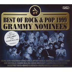 Grammy Nominees 1999 Rock/Pop