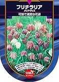 【Autumn Bulb】Fritillaria meleagris Mix フリチラリア・メリアグリス・ミックス (10球×1袋・10％OFF)