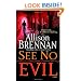 See No Evil: A Novel
