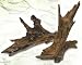 Zilla Malaysian Driftwood