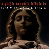 A Gothic Acoustic Tribute To Evanescence