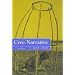 Cree Narrative: Expressing the Personal Meanings of Events (Carleton Library)