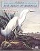 John James Audubon, The Watercolors for Birds of America 2008 Calendar