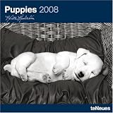 Puppies 2008 Calendar