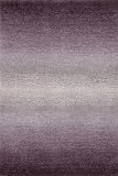 Meridian Area Rug Ii, 36"X56", PURPLE