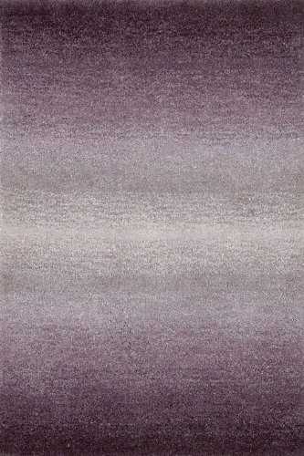 Home Decorators Rugs