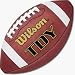 Wilson TDY Leather Football